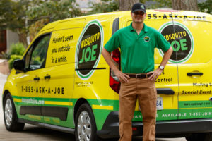 Outside mosquitoes, fleas, and ticks pest control service Company