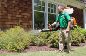 Professional mosquito control for Maryland